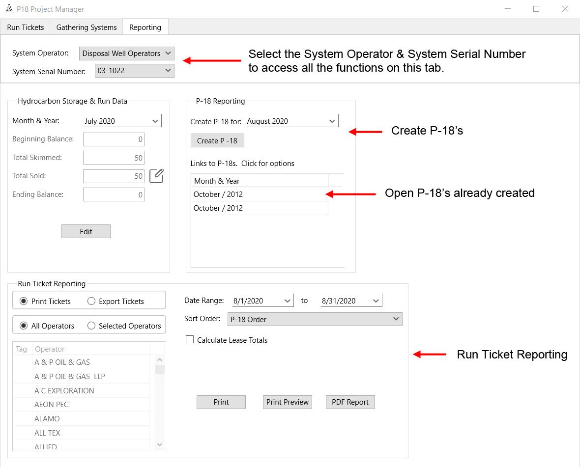 P-18 Project Manager - Reporting Tab